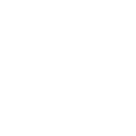 Green Roots Play Equipment
